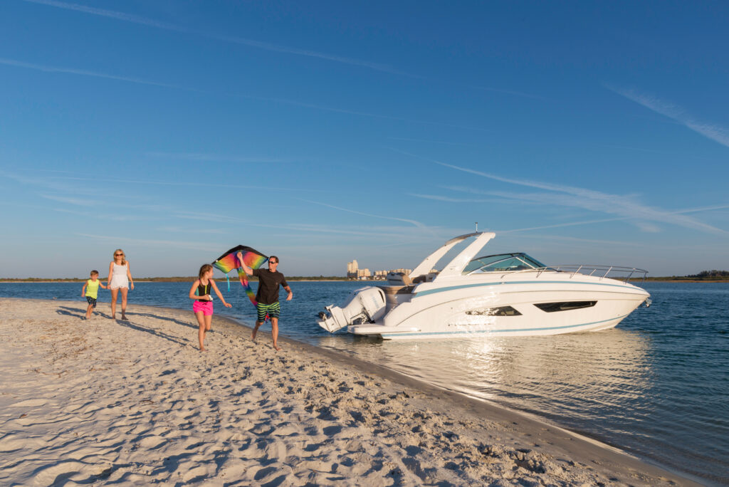 Clearwater Dolphin & Island Sandbar, Wakeboarding