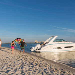 Clearwater Dolphin & Island Sandbar, Wakeboarding